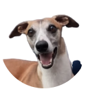 CopeCan-R